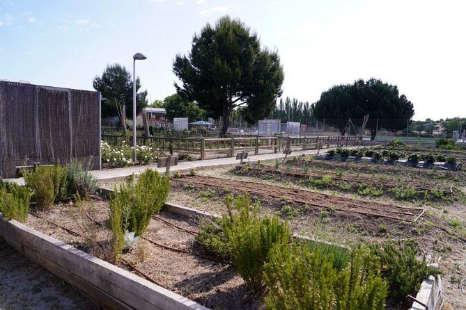 En estos viveros de emprendimiento agrícola se desarrollan programas de formación para la capacitación en la gestión y explotación de huertos urbanos.