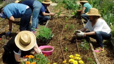 La oferta se distribuye en los centros de información y educación ambiental (CIEA) de Casa de Campo, Dehesa de la Villa y el Huerto del Retiro, además de los equipamientos del parque Juan Carlos I y el parque Princesa Leonor, entre otras instalaciones.