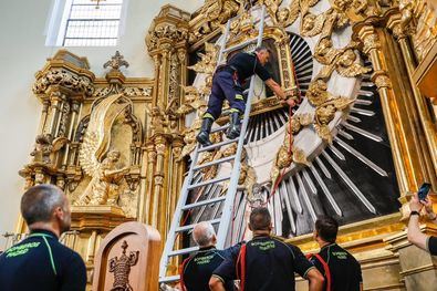 Fervor y bronca, por el Día de la Paloma