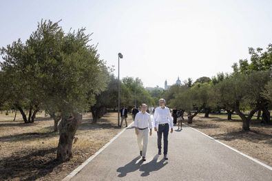 Ubicada en la antigua finca de los Vargas, cuenta con más de 800 árboles frutales repartidos por sus 38.000 m2.