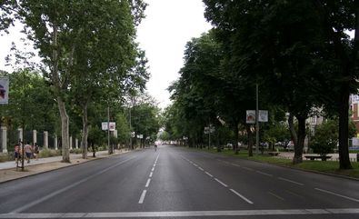 A la fresca, bajo árboles singulares de Madrid