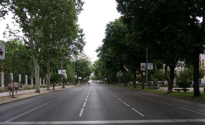 Madrid se sitúa como ciudad referente en el cuidado de sus árboles y en la gestión forestal urbana, integrada por 3.800 parques y jardines, 1,7 millones de árboles y más de 5.000 calles arboladas.