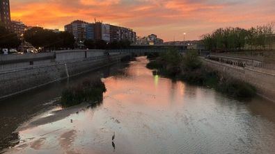 Luces y fauna del Manzanares, vecinos imposibles