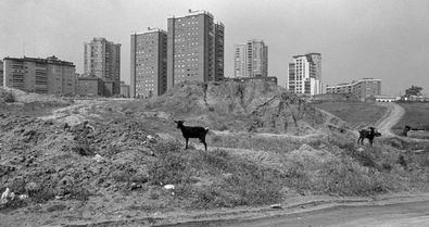 La cámara del autor muestra la evolución arquitectónica de la ciudad y las condiciones de los habitantes de Orcasitas, Tetuán, Lavapiés o el barrio del Pilar.