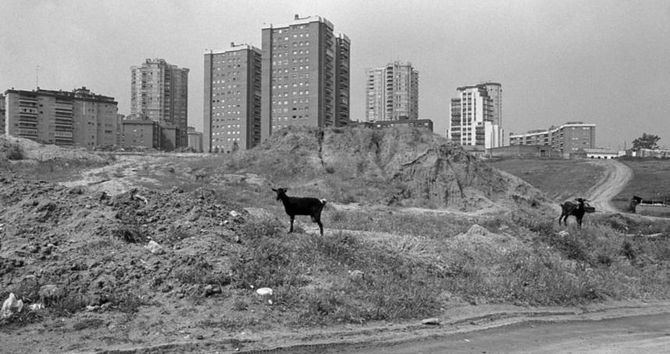 La cámara del autor muestra la evolución arquitectónica de la ciudad y las condiciones de los habitantes de Orcasitas, Tetuán, Lavapiés o el barrio del Pilar.