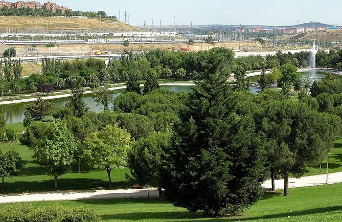 Este estudio forma parte de un plan del área de Urbanismo, Medio Ambiente y Movilidad, con el objetivo de revitalizar la zona y convertirlo en un nuevo atractivo para la ciudad.