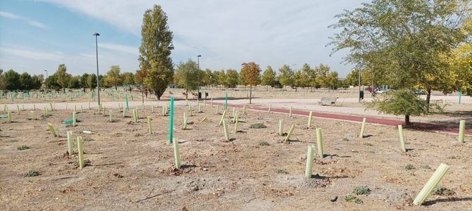 Los vecinos del Ensanche de Vallecas vienen denunciando que los árboles plantados este invierno en los barrios Valdecarros y Las Suertes 'se están secando por falta de mantenimiento y riego'. 