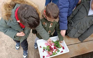 Actividades inclusivas, para niños con TEA