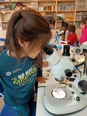 El programa se desarrollará durante el curso escolar 2024-25, entre octubre y junio, con una actividad mensual que se celebrará las mañanas de los sábados.