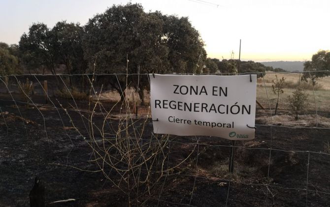 El final de la ruta está previsto a las 13.00 horas en la calle de Embrujo esquina avenida de la Ilusión de Alcobendas. En este punto se explicará la biodiversidad del entorno de Los Carriles, insistiendo en la importancia de proteger este espacio vital de Alcobendas en el que se quiere desarrollar el nuevo barrio de Valgrande.