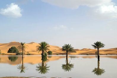 Las lluvias excepcionales en el sureste de Marruecos han provocado las primeras inundaciones en el desierto del Sáhara en más de medio siglo, lo que ha provocado intensos debates entre expertos y meteorólogos de todo el mundo.