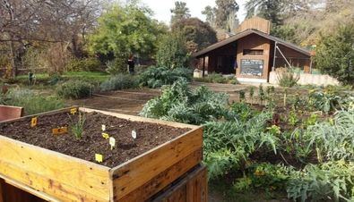 La Cabaña del Retiro cumple dos décadas