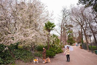 Madrid, modelo de ciudad verde y sostenible