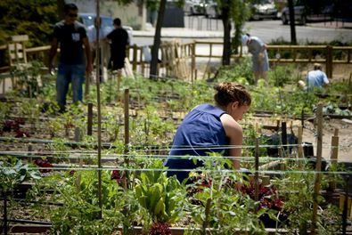 El producto obtenido no se destinará a la venta, sino que será consumido por los propios participantes, dado que el fin de la actividad es educativo, social y comunitario.