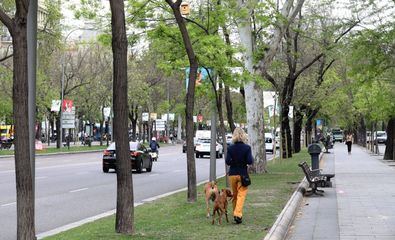 Se instalarán 122 nuevas columnas de iluminación con tecnología led en los bulevares transitables del paseo de la Castellana y la calle de Marceliano Santa María.