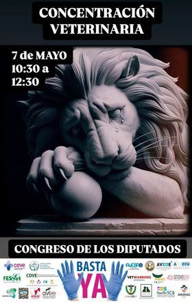 La concentración se ha convocado de 10.30 a 12.30 horas, coincidiendo con la celebración de un Pleno parlamentario. 