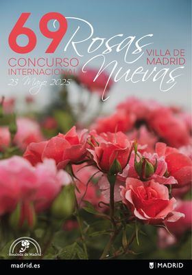 Del 16 al 21 de mayo, se llevará a cabo el Concurso Popular, donde los visitantes de la rosaleda podrán votar por su rosal favorito entre las diversas variedades que se presentan a concurso.