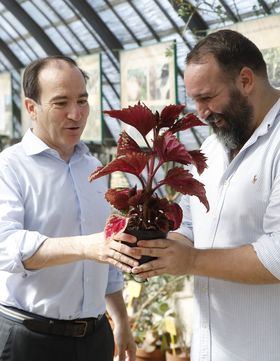 El Círculo de Bellas Artes, CentroCentro y Matadero, refugios climáticos 'verdes' para 'sobrevivir' al verano madrileño