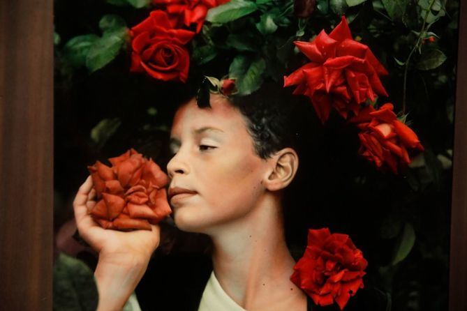 Espacio Cultural Serrería Belga acoge una experiencia multisensorial con la exposición 'En el compás del verano', que pone fin al Recorrido olfativo de la Villa de Madrid y presenta un aroma creado en exclusiva para Veranos de la Villa 2025.