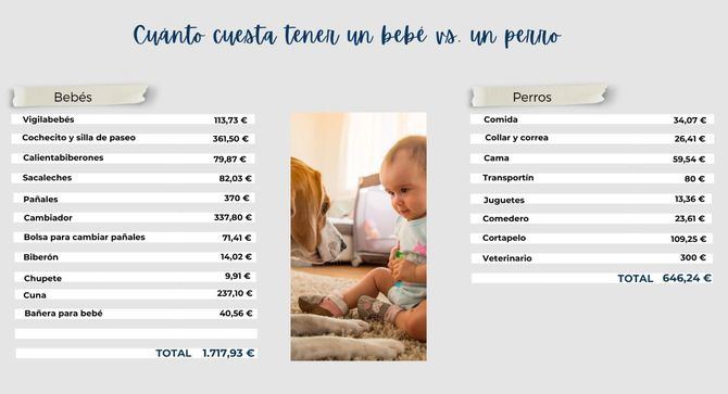 La demanda de productos para perros se dispara, con un aumento de hasta el 500% en cinco año