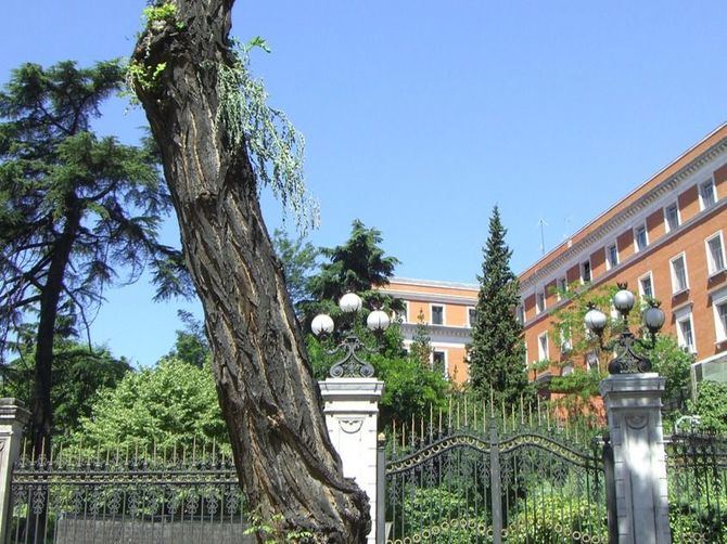 La declaración BIC también supone la protección de la denominada ‘zona noble’ del palacio y de la verja de hierro que separa los jardines de la calle y que fue terminada a finales de 1873.