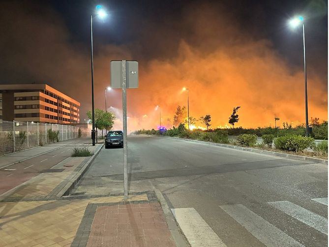El consejero de Medio Ambiente, Agricultura e Interior de la Comunidad de Madrid, Carlos Novillo, ha apuntado a una tormenta seca con vientos por encima de los 70 kilómetros por hora en el origen del incendio declarado la tarde de este lunes en Tres Cantos.