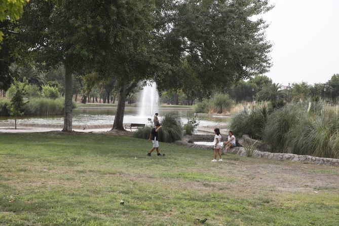 Se trata de medidas que transforman los espacios urbanos en refugios naturales para la fauna, mejorando la calidad ambiental y fomentando la conexión de la ciudadanía con la naturaleza.