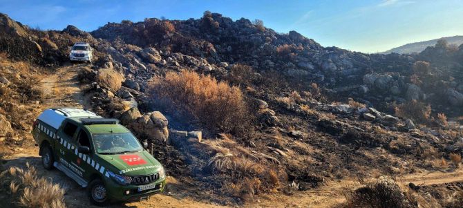 Madrid ayuda en la recuperación de los nidos de buitre negro dañados por los incendios, en la frontera hispano-portuguesa