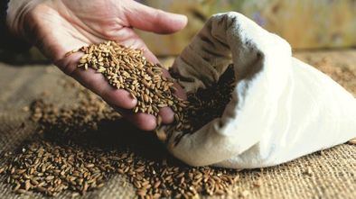 El origen de la vida, en la Semana de la Ciencia