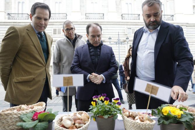 El delegado de Urbanismo, Medio Ambiente y Movilidad, Borja Carabante, y el concejal del distrito de Centro, Carlos Segura, han visitado esta mañana la plaza de Oriente, donde han presentado la campaña de plantación de flor de temporada otoño-invierno.
