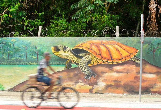 Unos 50 presidentes y jefes de Estado y más de 60.000 personas de 160 países participan, desde el pasado jueves y hasta el día 21 de noviembre, en los distintos eventos en la Conferencia de las Naciones Unidas sobre el Cambio Climático de 2025 (COP30), que se celebra en Belém (Brasil).