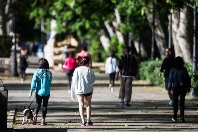 Coincidiendo con uno de los fines de semana del año con mayor afluencia de personas en las calles de la capital, se cerrarán al tráfico 450 metros de esta vía entre la plaza de Juan Zorrilla y las calles de José Abascal y Cea Bermúdez.