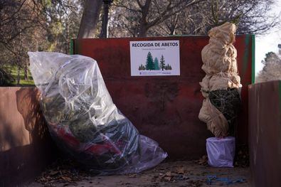 Esta iniciativa tiene como objetivo principal garantizar una correcta gestión de los abetos, evitando su abandono y fomentando su reciclaje. En la imagen, la caja de camión instalada a pocos metros de la puerta de entrada de Alfonso XII, en el parque de El Retiro. Allí, se podrá depositar los árboles todos los días, en horario de mañana y tarde.