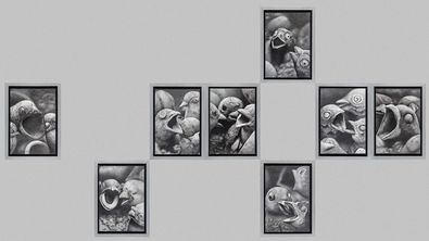 El centro cultural Casa de Vacas acoge, hasta el próximo 22 de febrero, la exposición del 'XXVII Certamen de Dibujo Gregorio Prieto', una muestra que reúne las obras premiadas de los artistas Sebastián Bona y José Miguel Chico López, junto a una selección de las mejores piezas presentadas en esta edición.