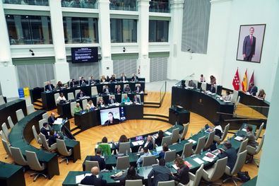 La crisis en Vox marca el Pleno de Cibeles