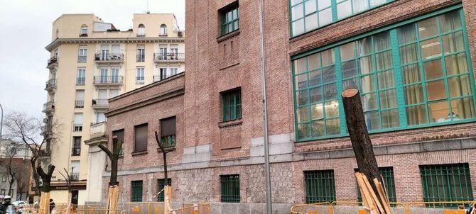Vecinos de Méndez Álvaro y colectivos que integran la Mesa Ciudadana del Árbol ha denunciado la 'masacre' de ejemplares maduros que se está llevando a cabo en el marco de las obras que acomete Adif AV para la construcción de la estación pasante de Atocha.