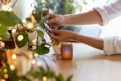 Este proyecto cultural, organizado por Intermediae Matadero, promoverá el intercambio de ideas, conocimiento y experimentación artística para ahondar en el vínculo emocional entre seres humanos y naturaleza.