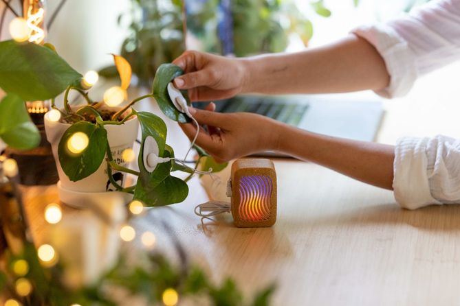 Este proyecto cultural, organizado por Intermediae Matadero, promoverá el intercambio de ideas, conocimiento y experimentación artística para ahondar en el vínculo emocional entre seres humanos y naturaleza.