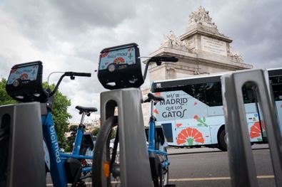 El autobús más ‘gato’, por San Isidro