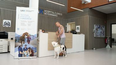 Dos décadas de excelencia veterinaria