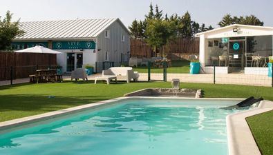 Chapuzones para perros, en Las Rozas