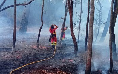 Incendios incontrolables, en Madrid y Ávila