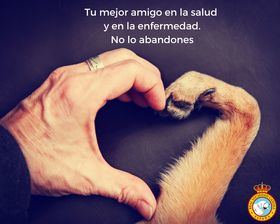 La Real Sociedad Canina de España (RSCE) ha iniciado la campaña ‘Tu mejor amigo en la salud y en la enfermedad’ contra el abandono de mascotas una vez termine el confinamiento. 