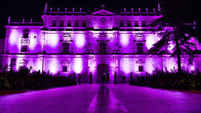 Alcalá de Henares, en femenino plural