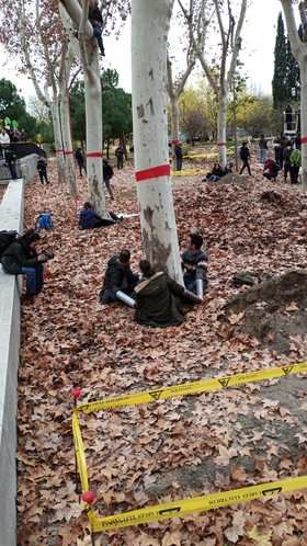 Encadenados a los árboles en el parque de Arganzuela, para denunciar su tala por las obras de Metro de Madrid