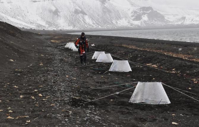 La Campaña Antártica española, destinada en la Isla Decepción hasta el próximo mes de marzo, tiene un carácter multidisciplinar y está orientada a diversos campos como medio ambiente, biodiversidad, biología marina, geología o climatología.