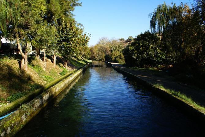 A la visita se puede sumar una experiencia verdaderamente única: bañarse junto a los esturiones. De una forma segura y respetando su hábitat, acariciar a los peces supone un recuerdo imborrable.