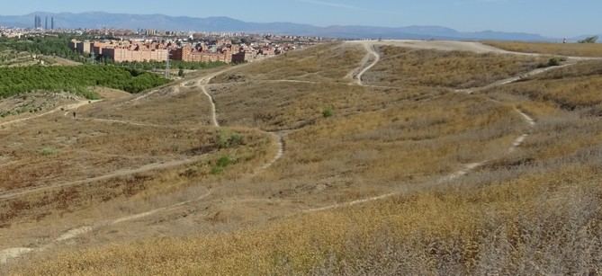 El cerro Almodóvar, un enclave emblemático para Madrid, recuperará sus valores paisajísticos, arqueológicos y naturales gracias al Plan de Protección Especial que el Ayuntamiento ha aprobado este jueves en Junta de Gobierno. 