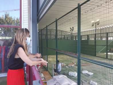 En el Centro Deportivo Municipal Pradillo, entre otras actuaciones, se está ejecutando la remodelación integral de las pistas de pádel y la renovación de la zona de fisioterapia.