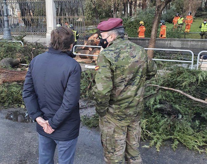 El alcalde de Madrid, José Luis Martínez-Almeida, ha asegurado que el suceso ha tenido lugar a las 6.00 horas, y ha vuelto a pedir 'mucha precaución' a los madrileños ante las fuertes rachas de viento entre hoy y mañana, de hasta 85 kilómetros por hora.